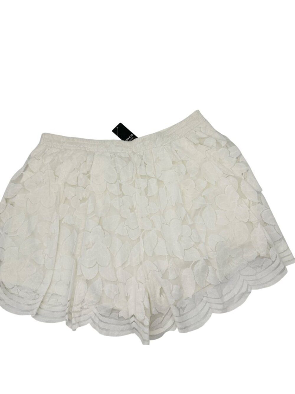 Torrid 2X Ivory Scalloped Lace Shorts Womens Elastic Waist Floral Overlay Light - Picture 2 of 9